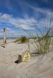 Dune Belgium 