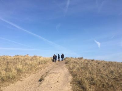 SiteVisit Dunes MarramGrass