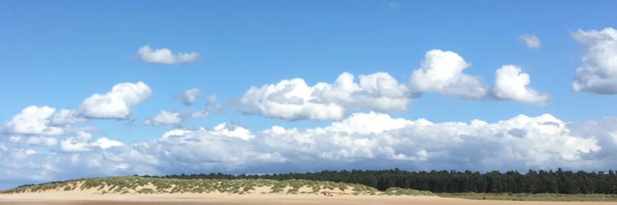 Holkham Dunes landscape